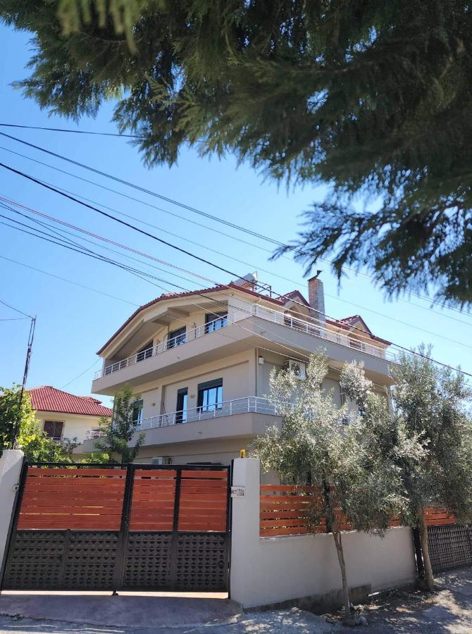 Modern Apartment By Ceni, إلباسان المظهر الخارجي الصورة